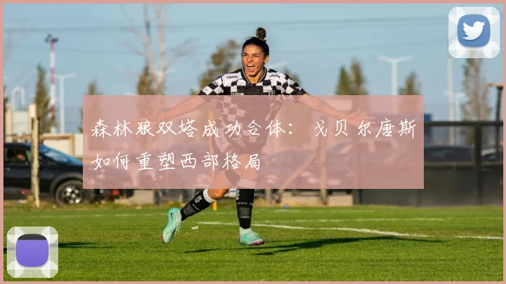 森林狼双塔成功合体:戈贝尔唐斯如何重塑西部格局