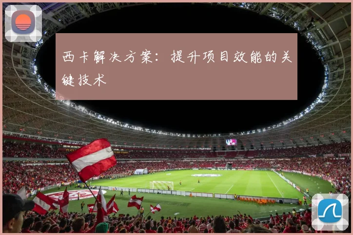 西卡解决方案:提升项目效能的关键技术