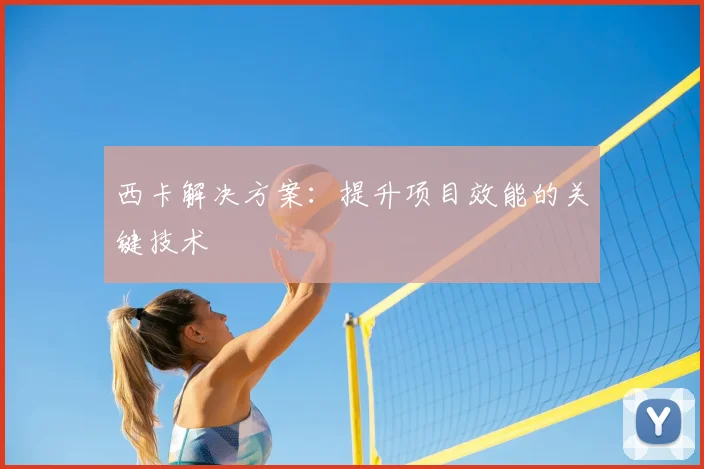西卡解决方案：提升项目效能的关键技术