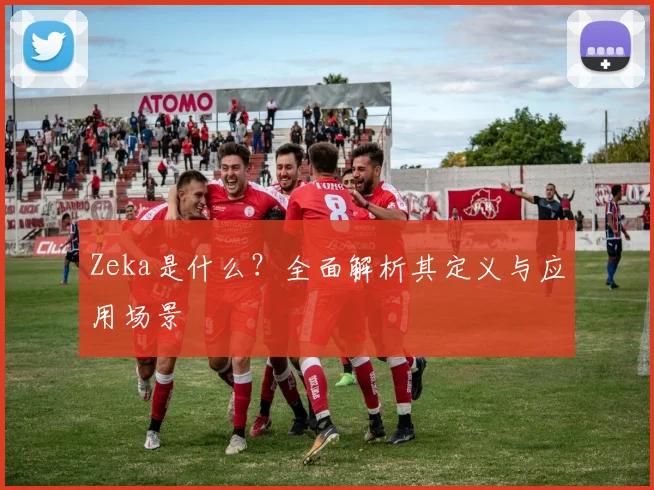 Zeka是什么?全面解析其定义与应用场景